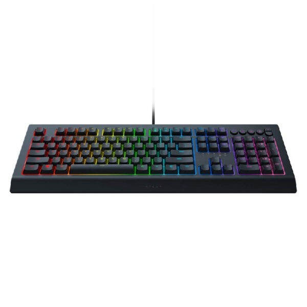 RAZER Cynosa V2 True RGB Gaming Keyboard / RZ03-03400100-R3M1 (Warranty 2years with BanLeong)